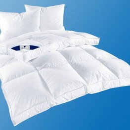 Bettdecke + Kissen / Duvet + Pillow