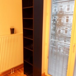 2 Ikea-Billy-Bücherregale, schwarz