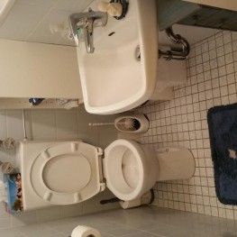 Gäste-WC komplettes Inventar