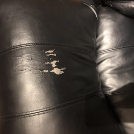 Free leather love seat 2