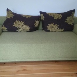 Schlafcouch Sofa gebraucht grün Holz Polster