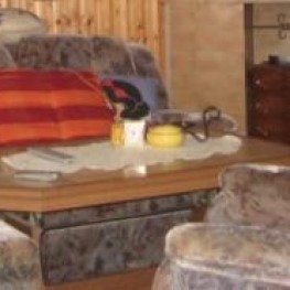 hol sie dir: Couch (zum Doppelbett ausziehbar), Sessel und Wohnzimmertisch 