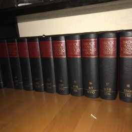 Vollständige Brockhaus-Enzyklopädie! 17. Auflage, 24+1 Bände 1