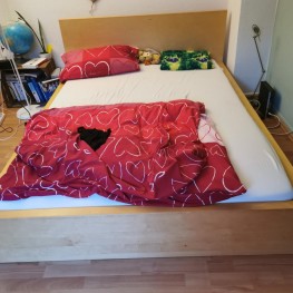 IKEA Bett zum abgeben